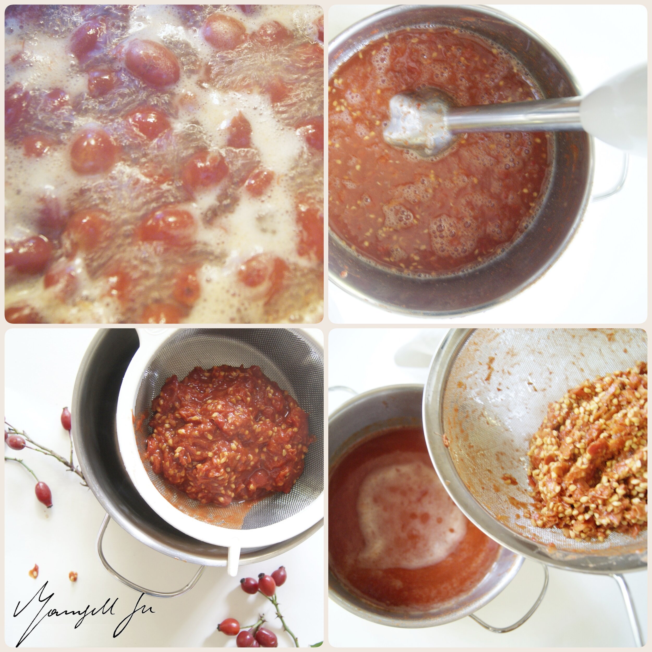 Rezept, Traditionelle schwedische Hagebuttensuppe mit Mandelbiskuit,  Traditional Swedish rosehip soup with almond biscuit, recipe, Hagebuttensuppe, Mandelbiskuit, rosehip soup, almond biscuit