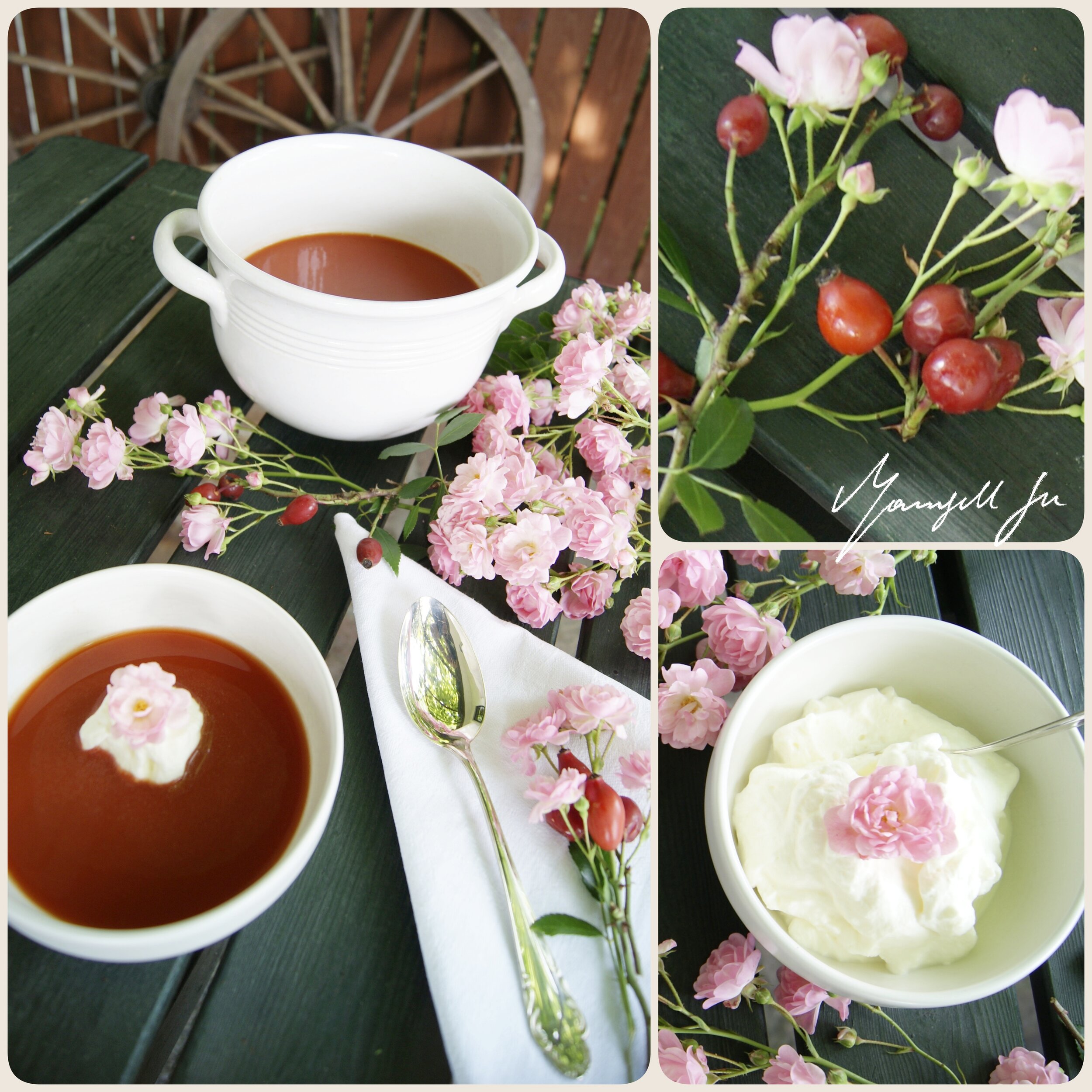 Rezept, Traditionelle schwedische Hagebuttensuppe mit Mandelbiskuit,  Traditional Swedish rosehip soup with almond biscuit, recipe, Hagebuttensuppe, Mandelbiskuit, rosehip soup, almond biscuit