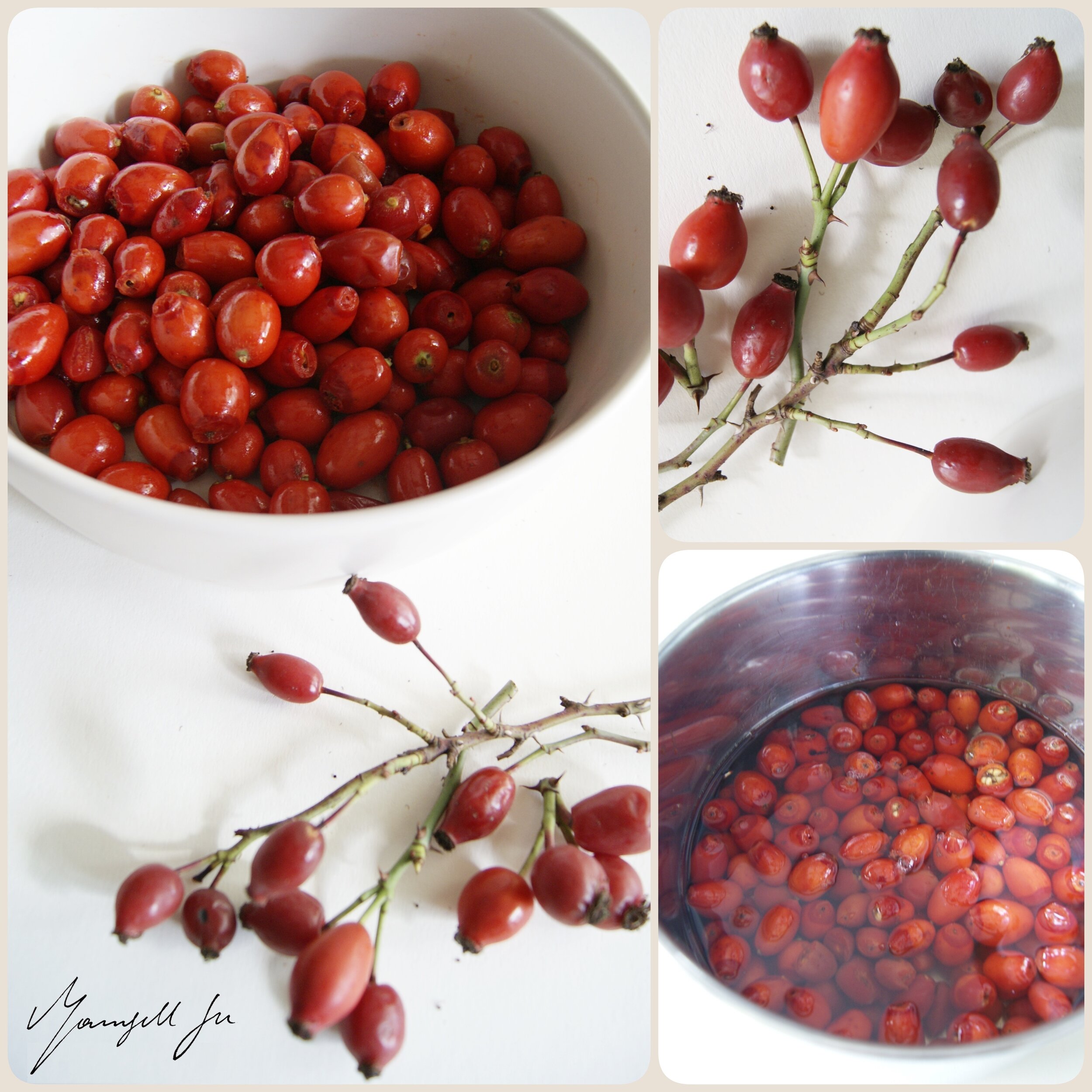 Rezept, Traditionelle schwedische Hagebuttensuppe mit Mandelbiskuit,  Traditional Swedish rosehip soup with almond biscuit, recipe, Hagebuttensuppe, Mandelbiskuit, rosehip soup, almond biscuit